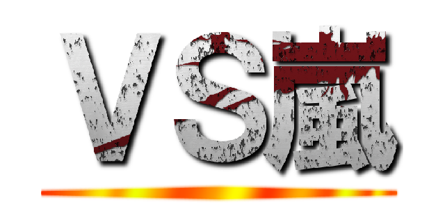 ＶＳ嵐 ()