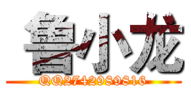  鲁小龙 (QQ2742989816)