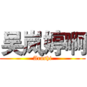 吴岚婷啊 (Arashi)