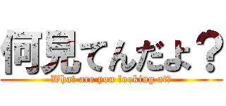 何見てんだよ？ (What are you looking at?)