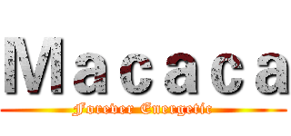 Ｍａｃａｃａ (Forever Energetic)