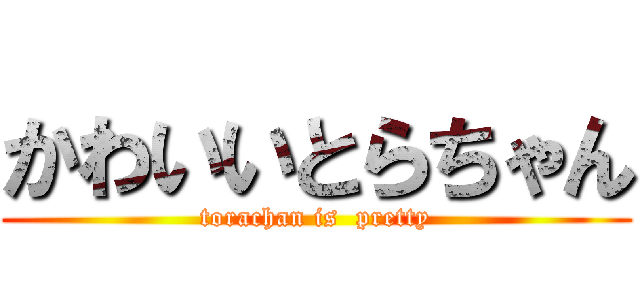 かわいいとらちゃん (torachan is  pretty)
