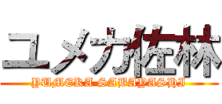 ユメカ佐林 (YUMEKA SABAYASHI)