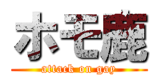 ホモ鹿 (attack on gay)