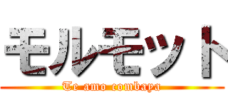 モルモット (Te amo combaya)