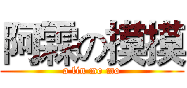 阿霖の摸摸 (a lin mo mo)