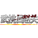 武挑吕赵关 ()