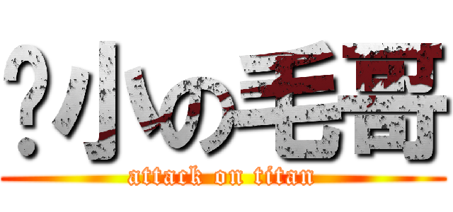 啥小の毛哥 (attack on titan)