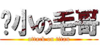 啥小の毛哥 (attack on titan)