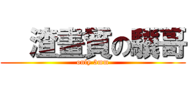   渣畫質の驥哥 (only 3mm)