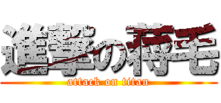 進撃の蒋毛 (attack on titan)