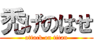 禿げのはせ (attack on titan)