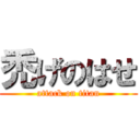 禿げのはせ (attack on titan)