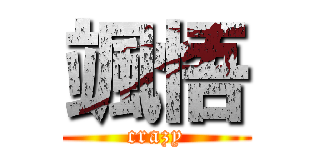 颯悟 (crazy)