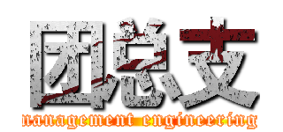 团总支 (management engineering)