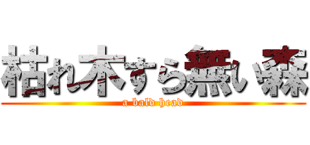 枯れ木すら無い森 (a bald head)