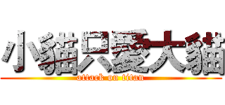 小貓只愛大貓 (attack on titan)