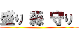 盛り 森 守り  ()