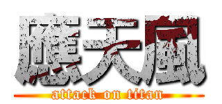 應天風 (attack on titan)