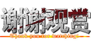 谢谢观赏 (Thank you for watching!)