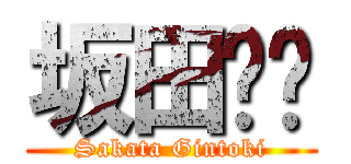 坂田银时 (Sakata Gintoki)