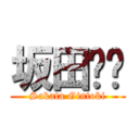 坂田银时 (Sakata Gintoki)