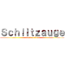 Ｓｃｈｌｉｔｚａｕｇｅ (attack on Arie)