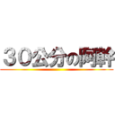 ３０公分の阿幹 ()