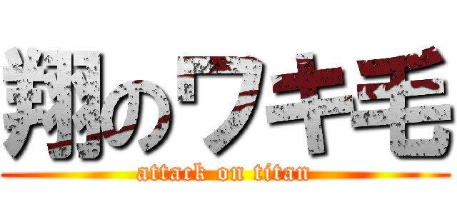 翔のワキ毛 (attack on titan)