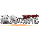 進食の菊花 (~Flower Eating ~)