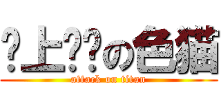 搞上进击の色猫 (attack on titan)