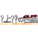 搞上进击の色猫 (attack on titan)