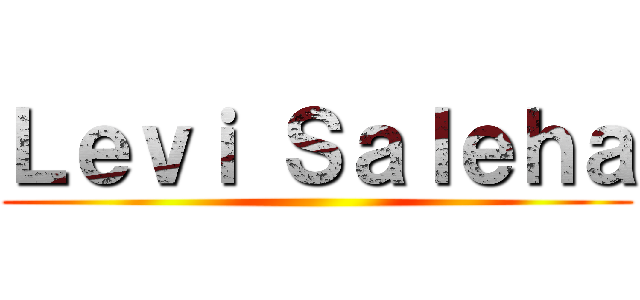 Ｌｅｖｉ Ｓａｌｅｈａ ()