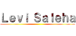 Ｌｅｖｉ Ｓａｌｅｈａ ()