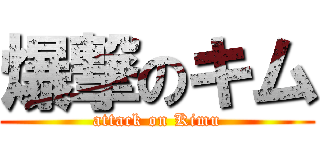 爆撃のキム (attack on Kimu)