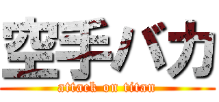 空手バカ (attack on titan)