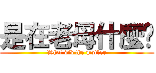 是在老母什麼啦 (What did the mother)