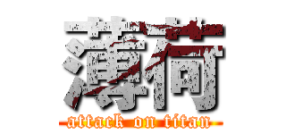 薄荷 (attack on titan)