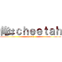 俺はｃｈｅｅｔａｈ (cheetah)