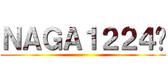 ＮＡＧＡ１２２４ℤ ()