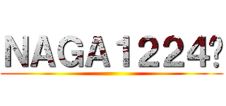 ＮＡＧＡ１２２４ℤ ()