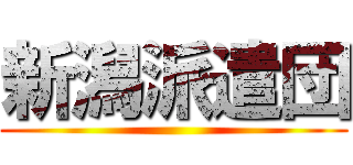 新潟派遣団 ()