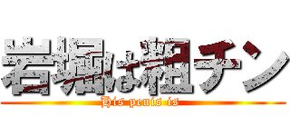 岩堀は粗チン (His penis is )