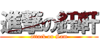 進撃の鈺軒 (attack on Sam)