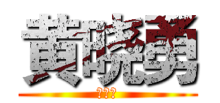 黄晓勇 (黄晓勇)
