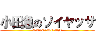 小田急のソイヤッサ (Soiyassa of Odakyu)