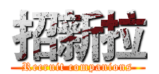 招新拉 (Recruit companions)