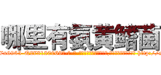 哪里有氨黄鳍菌 (哪里有氨黄鳍菌【电-186x2687x6963-Q278180069元-吉-药-业】我们做的是长期生意,靠的是老客户长期支持 http://sngk.net/epsBYt
)