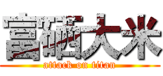 富硒大米 (attack on titan)