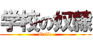 学校の奴隷 (Gallo)